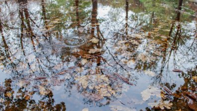 Времето в петък: Дъждовно, ветровито и хладно