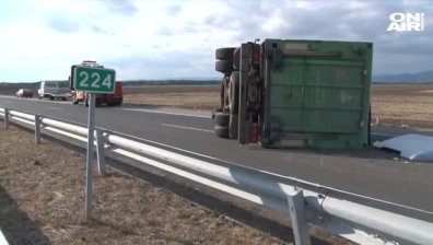 ТИР, превозващ прасета, се обърна на "Тракия" 