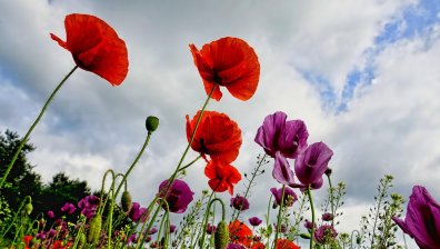 Времето остава горещо с повече облаци и валежи в следобедните часове