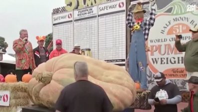 Гигантска тиква с невероятно тегло спечели конкурс в Калифорния