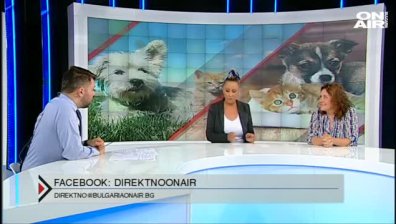 Домашните любимци &ndash; от голяма любов до голямо презрение