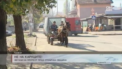 Вегани: Каруците в София да се забранят!