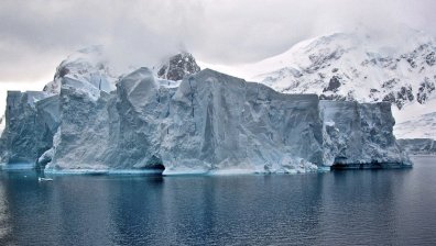 Oгpoмeн aйcбepг, заплаха за животински видове, ce нacoчвa ĸъм Южнa Джopджия