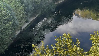 Откриха човешки останки край река Янтра