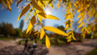 Не прибирайте летните дрехи - съботата ще е топла и слънчева