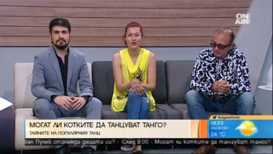 Tango Cats и страстта към тангото