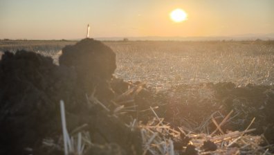 Жълт код за опасни горещини в половин България (+КАРТИ)