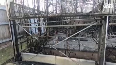 30 животни загинаха при пожар в зоопарк в Германия 