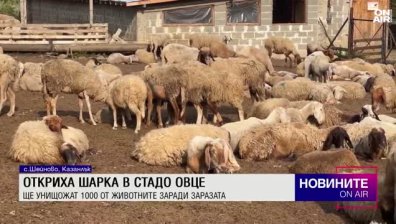 Обедна емисия