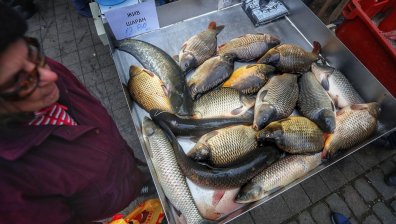 Втори сме по бедност в Европа: Всеки трети не може да си позволи месо или риба