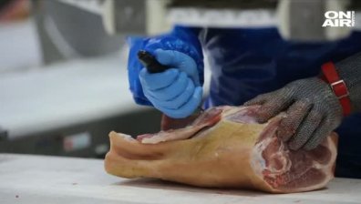 Свинското месо поскъпва - кои са реалните причини?