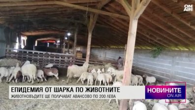 Обедна емисия