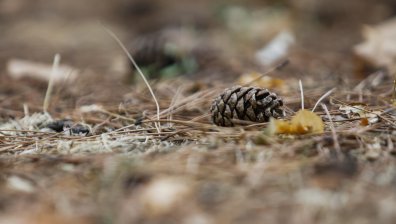 Жълт код за опасно време утре в почти цялата страна (+КАРТА)