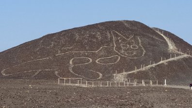 Археолози откриха гигантски древен образ на котка в пустинята Наска