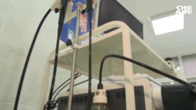 Петиция за безплатни катетри организираха в болница във Варна