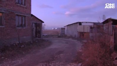 Питбул разкъса до смърт 3-годишно дете в Пазарджишко