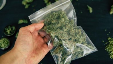 Полицията иззе близо 900 грама канабис във Великотърновско