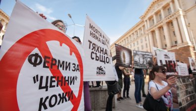 "Още една година смърт": Протест срещу фермите за ценни кожи и убиването на животни