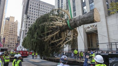Ню Йорк се подготвя за Коледа с 23-метрова елха в "Рокфелер център"