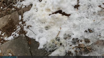 Непочистеният жълто-кафяв софийски сняг