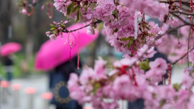 Времето днес: Дъждовен, но топъл вторник с температури до 21 градуса