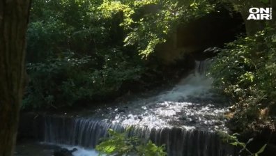 Химическа основа убила кравите в Марица? "Неохим" отрича да има вина