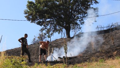 Евакуираха над 100 души от Сенокос заради огнената стихия