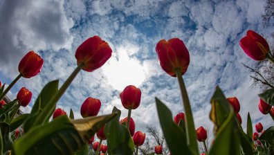 Пролет ли е, есен ли е... Валежите продължават, след 20 май поне ще стане топло