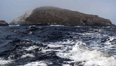 ЕС отпуска 3,5 млрд. евро за опазване на океана