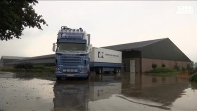 Скандалът с опасните яйца в Белгия и Германия се разраства