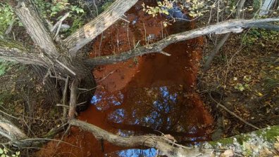 РИОСВ: Водите на Струма са бистри и няма отклонения в показателите