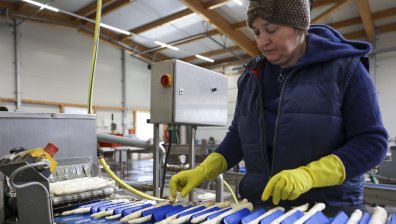 Украинците трудно намират работа в Германия, някои дори и не търсят