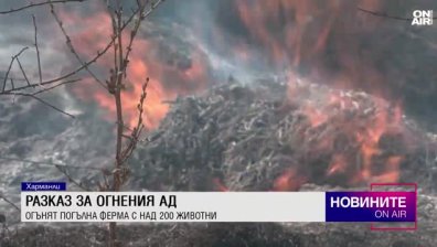 Късна емисия