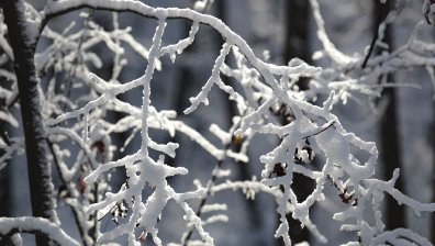 Обявиха оранжев и жълт код за валежи от дъжд и сняг за много области у нас