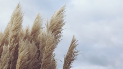 Ветровито посрещане на празниците &ndash; на места и гръмотевици