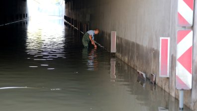 Проф. Рачев: Редовно се случват наводнения в София