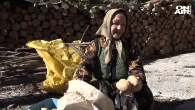 Родопският картоф е на път да изчезне