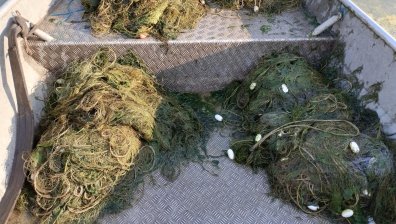 ИАРА хвана незаконен улов на бяла пясъчна мида, откри нарушения и на езерото "Вая"