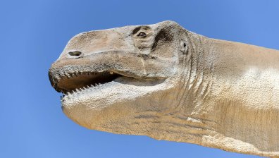 Откриха нов вид динозавър, един от най-големите, обикаляли Земята (+ВИДЕО)