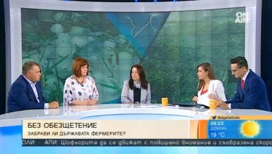 Земеделците с милионни загуби след силната градушка  