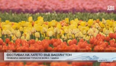 Фестивалът на лалето във Вашингтон привлече милиони туристи