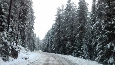 До 40 см снежна покривка се очаква в Северозападна България