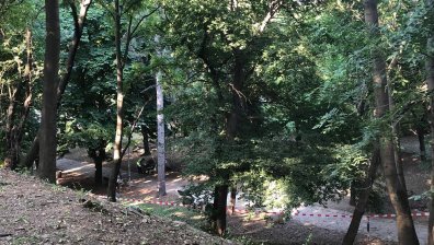 Мъж уби жена с каменна плоча в София