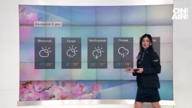 Централна прогноза