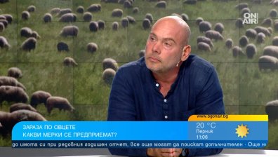 Шарката по овцете се разраства, искат спешна ваксинация в Южна България