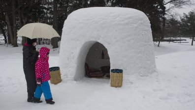 Рекорден снеговалеж предизвика хаос в Япония (+видео)