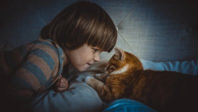 Бебе и домашен любимец в един дом - добра идея ли е?