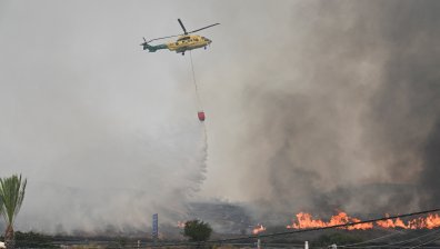 Горски пожар изпепели над 13 000 хектара край Мадрид