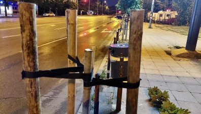 Председателят на СОС подаде сигнал до СДВР за отсичане на дървета в район "Слатина"