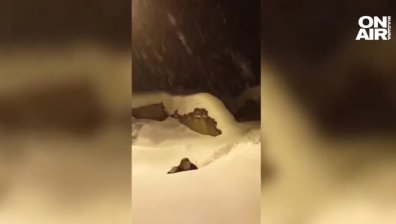 Сняг затрупа къщи в Турция, пътищата - непроходими (+ВИДЕО)